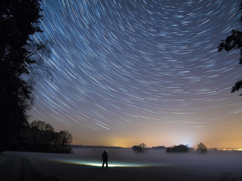Starlit Gardens